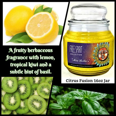 Citrus Fusion 16 oz Jar - Free Spirit Collection