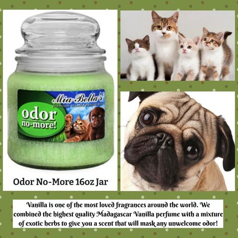 Odor No More 16 oz Jar